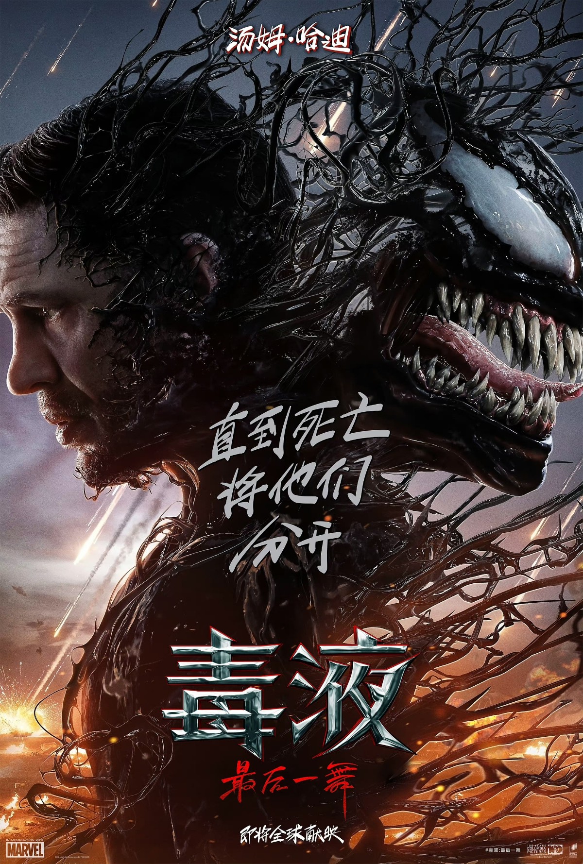 毒液：最后一舞 Venom: The Last Dance