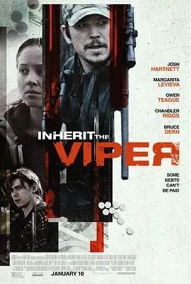 继任蝰蛇 Inherit the Viper