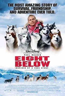 南极大冒险 Eight Below