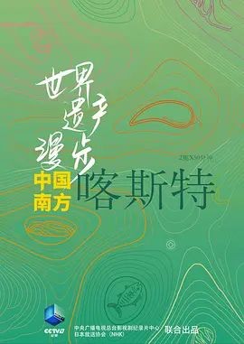 世界遗产漫步·中国南方喀斯特 世界遺産 中国 カルストの大地をゆく