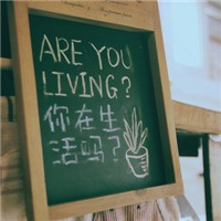 可以吧