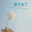 游戏爱好